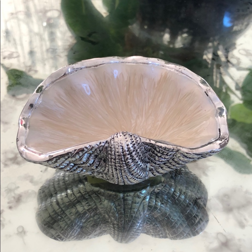 Seashell home decor